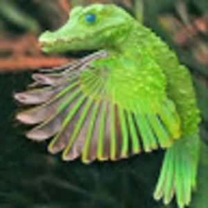 Meet your Posher, Douglas